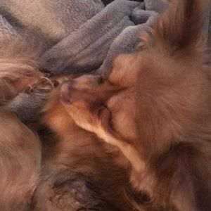 Meet your Posher, Gina